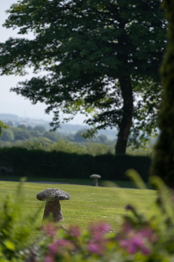 The Lambing Shed, Cornwall Altarnun Экстерьер фото